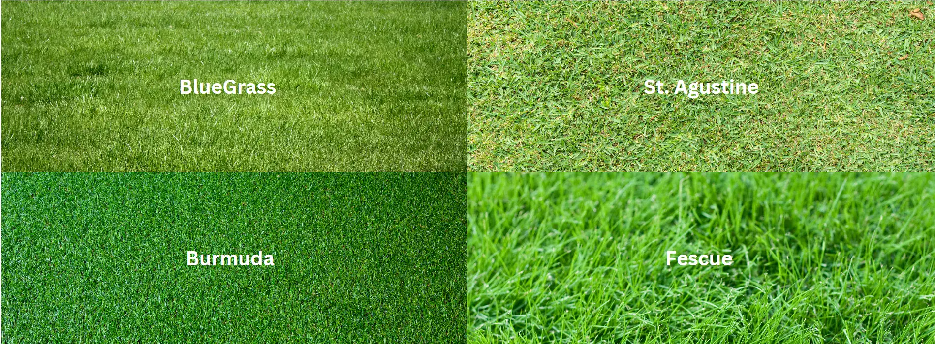 Sod installation near me | Sod installation process | Sod installation services |  Sod installation tips | Sod installation companies