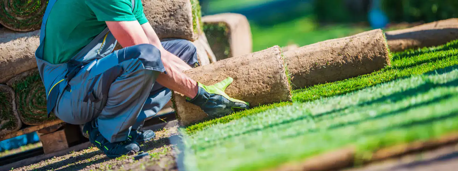 Sod installation  | Sod installation cost | Sod installation near me