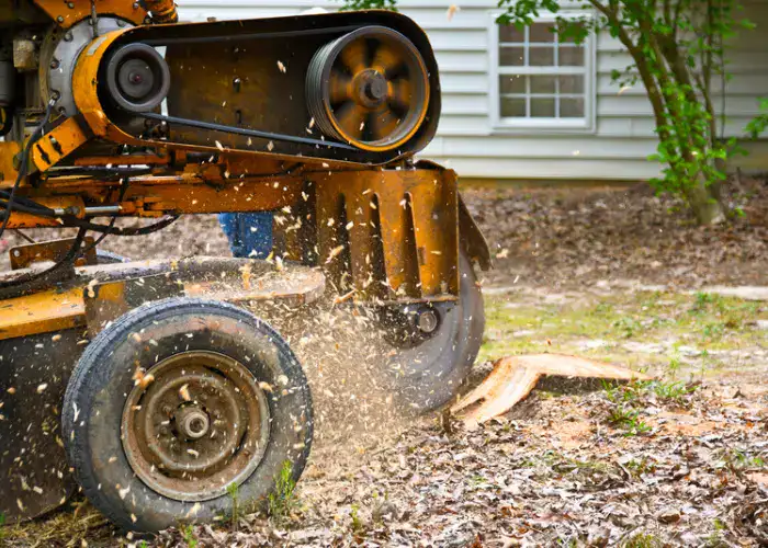 Tree Stump Grinding | Stump Removal | Tree Services